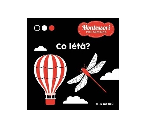 Co létá?