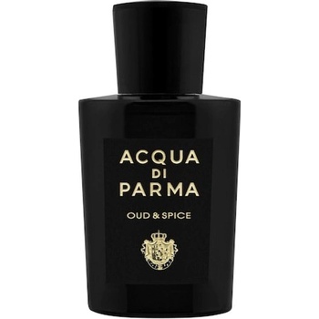 Acqua Di Parma Oud & Spice parfémovaná voda pánská 100 ml