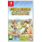 Marvelous Story of Seasons A Wonderful Life (Switch)