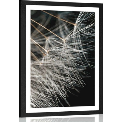 Plakát s paspartou krása pampelišky - 40x60 white
