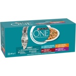 ONE Adult chicken/beef/lamb/ocean fish 40x85 g