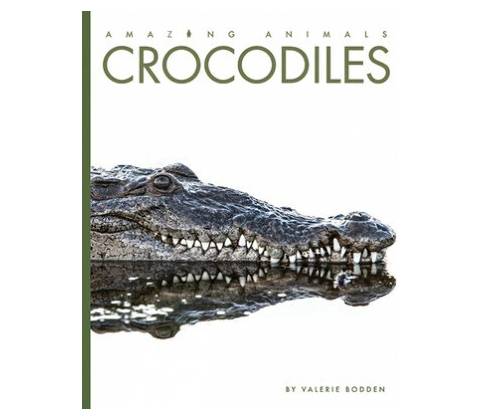 Crocodiles