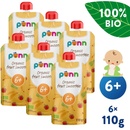 Salvest Põnn BIO Ovocné smoothie s ananasem 6 x 110 g