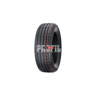 Profil Pro Sport 205/55 R17 91V