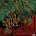 Lamb Of God - Ashes of the Wake (Anniversary Edition) (Reissue) (2 CD) (0196588907821)