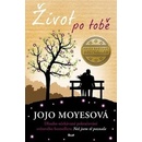 Život po tobě