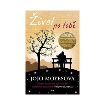 Život po tobě
