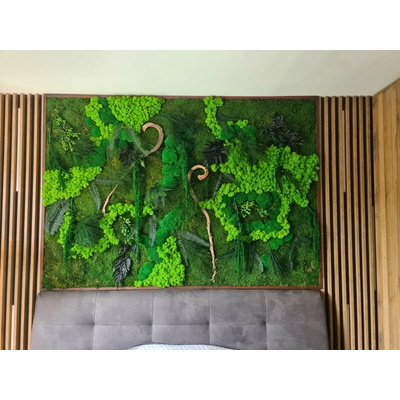 Exkluzivní mechový obraz s rostlinami 200cm x 100cm