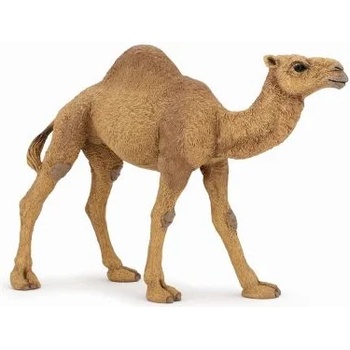Image 1 of Papo - Фигурка за колекциониране и игра - Едногърба камила (50151)