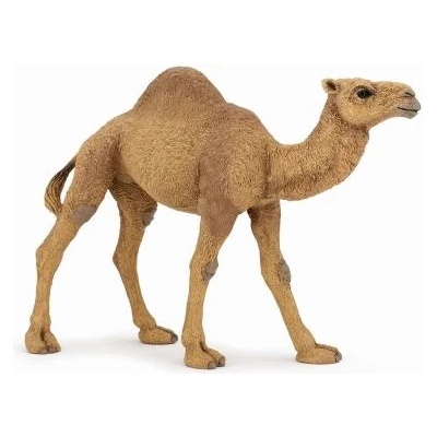 Papo - Фигурка за колекциониране и игра - Едногърба камила (50151)