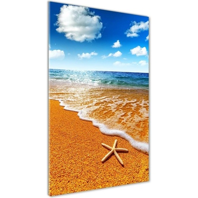 Vertikálny foto obraz sklo tvrdené Hviezdice na pláži 50x100 cm