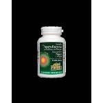 Natural Factors Papaya Enzymes with Amylase and Bromelain - Папая ензими с амилаза и бромелаин, 60 дъвчащи таблетки Natural Factors (1748 NF)