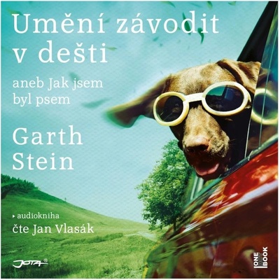 Umění závodit v dešti - Garth Stein