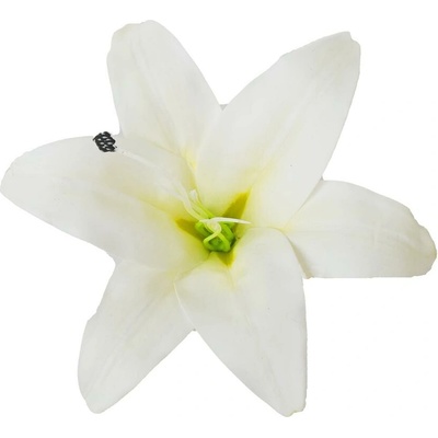 HLAVA ĽALIA RUŽOVÁ 15CM