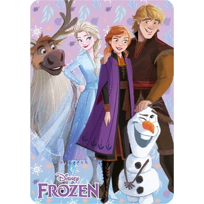 Mister Licence Detská deka Frozen Winter Friends