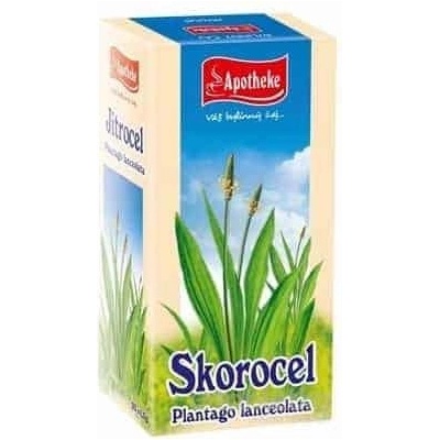 Apotheke Skorocel kopijovitý 20 x 1,5 g
