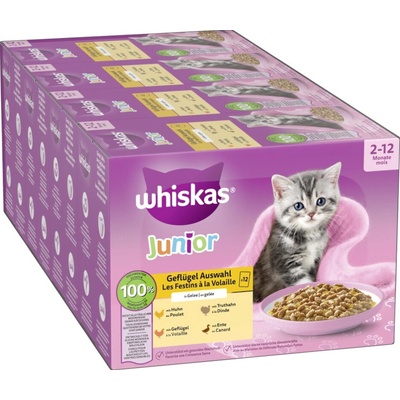 Whiskas Junior Jumbopack drůbeží výběr v želé 96 x 85 g