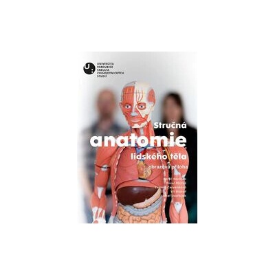 Stručná anatomie lidského těla
