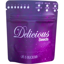 Delicious Seeds Critical Jack Herer Auto semena neobsahují THC 5 ks