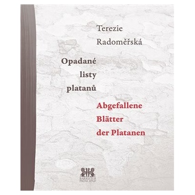 Opadané listy platanů / Abgefallene Blätter der Platanen