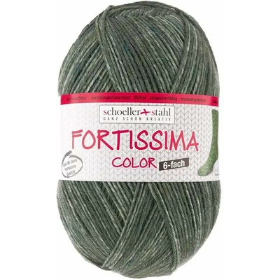 Schoeller Stahl Fortissima tweed 6-fach 0229