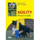 Agility - pracovní sešit