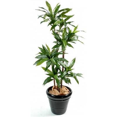Umělá palma Dracena deluxe, 145cm