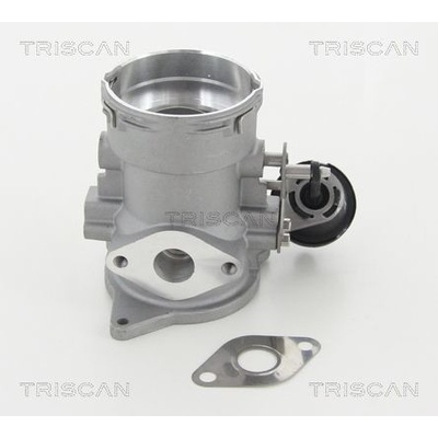 AGR-Ventil TRISCAN 8813 29056