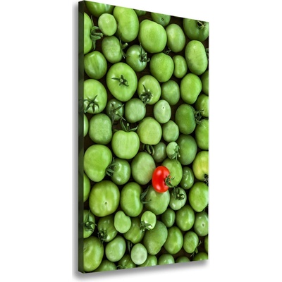 Vertikálny foto obraz na plátne Červená paradajka 50x100 cm