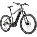 Leader Fox Oxnar 2023