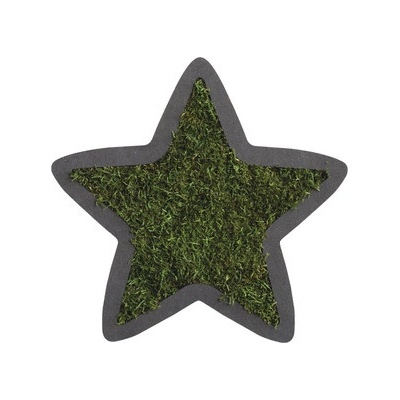 Mechový obraz styleGREEN Hvězdička 26x26 cm