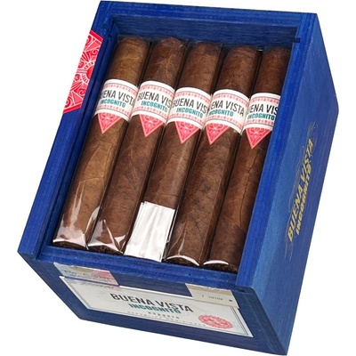 Buena Vista Incognito Robusto 20 ks