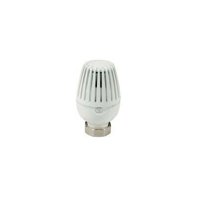 GIACOMINI R460H