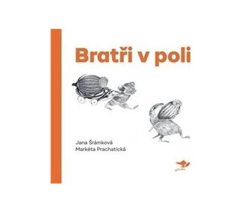 Bratři v poli