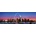 Masterpieces - Puzzle Saint Louis, Missouri - 1 000 piese