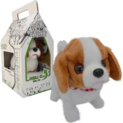 Кучето Тери