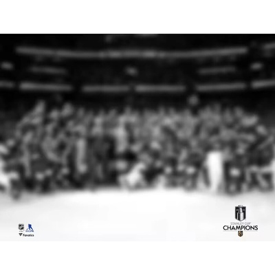 Fanatics Fotografie Vegas Golden Knights NHL 2023 Stanley Cup Champions Team Celebration Photograph 8x10
