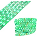 ECOLIGHT EC79342