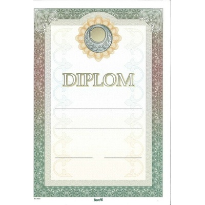 DIPLOM_3058 Diplom A4 A4