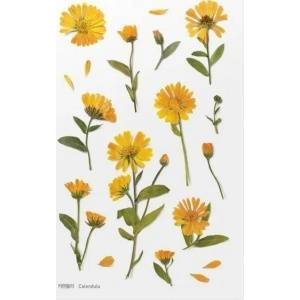 Appree Decorative stickers flowers - Calendula