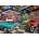 Dino - Puzzle Veterans' Collection - 2 000 piese