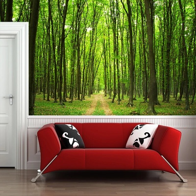 Sablio Tapeta Cesta v lese, rozmery 336x220 cm
