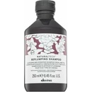 Davines Naturaltech Replumping Shampoo 250 ml