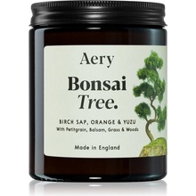 Aery Botanical Bonsai Tree 140 g