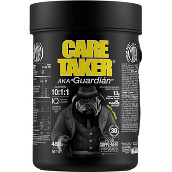 Zoomad Labs BCAA 10:1:1 480 g