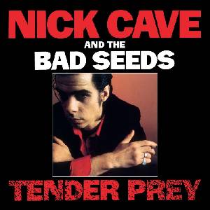Universal Nick Cave & The Bad Seeds: Tender Pray - CD (088629)