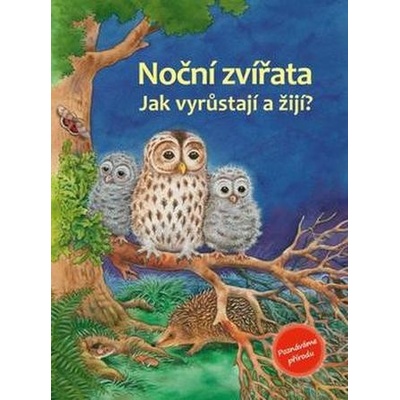 Noční zvířata - Reichenstetter, Friederun