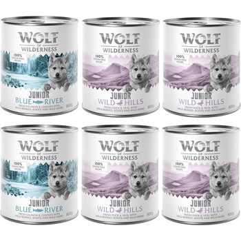Wolf of Wilderness 24х800г Junior Wolf Of Wilderness, консервирана храна за кучета, смесена опаковка
