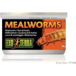 Hagen CANNED FOODS SPECIALTY REPTILE FOOD Mealworms - брашнени червеи 34g - ГЕРМАНИЯ - PT1958