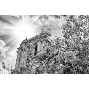 DIMEX ART Флизелинов фототапет детайли за нотр дам 375 x 250 см